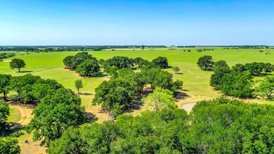 2660 County Road 482, de Leon, TX 76444 - photo 5