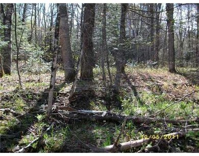 Land/Lot.