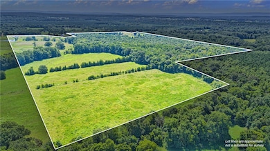 10972 Cowger Ln, Dardanelle, AR 72834 - photo 4