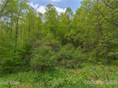 TBD Fox Creek Rd unit Lot 10, Burnsville, NC 28714 - photo 4