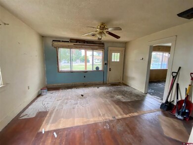 145 1/2 NE 4th St, Cedaredge, CO 81413 - photo 4