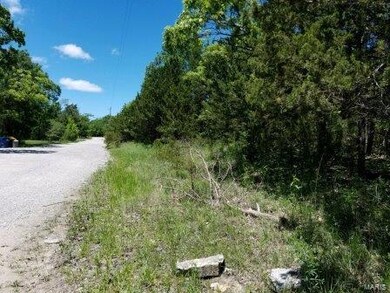 10 Watts Acres Rd, Robertsville, MO 63072 - photo 3