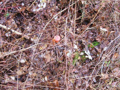 0 Newbury Neck Rd unit 1160633, Surry, ME 04684 - photo 5