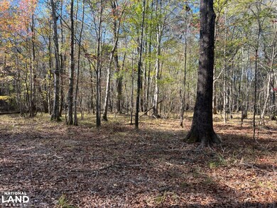 0 Hayes Crossing Rd unit 25566057, Millport, AL 35576 - photo 2