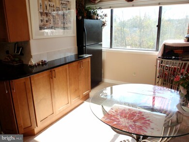 6903 Jones View Dr unit 3C, Baltimore, MD 21209 - photo 4