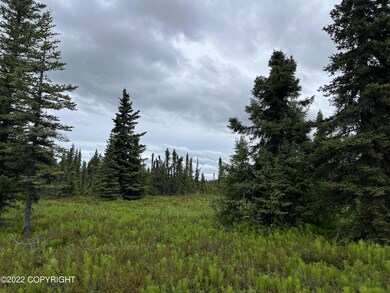 Tr6 Tomski, Anchor Point, AK 99556 - photo 5