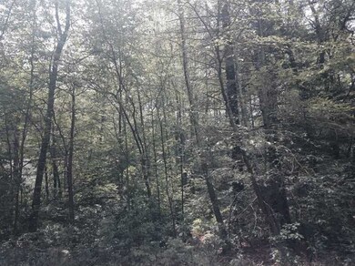 0 Indian Trail unit 1132983, Glocester, RI 02859 - photo 4