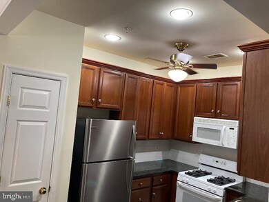 11315 Westbrook Mill Ln unit 202, Fairfax, VA 22030 - photo 4
