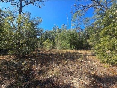 11136 N Vesta Point, Dunnellon, FL 34434 - photo 7