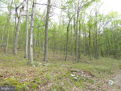 3 Cardinal Run, Augusta, WV 26704 - photo 2