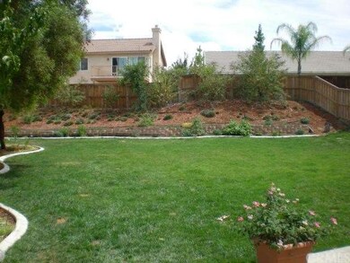 Pool-Sized Backyard