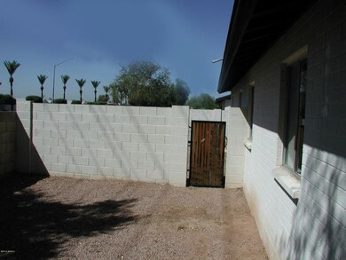 Yard#3