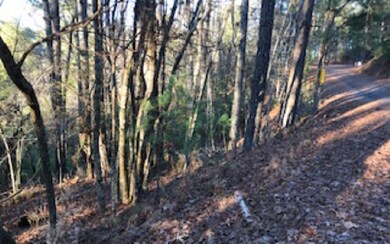Additional View