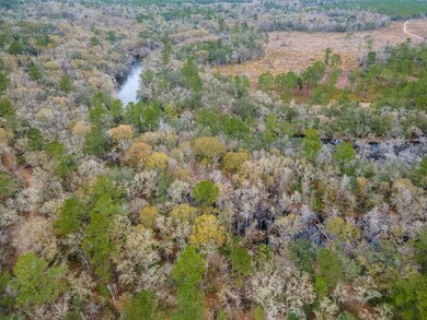 6345 Lake Alapaha Blvd, Naylor, GA 31641 - photo 7