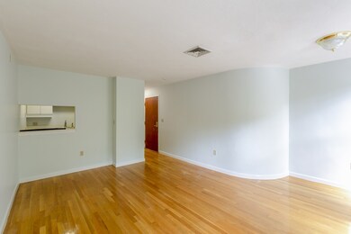 12 Greenough Ln unit 101, Boston, MA 02113 - photo 7