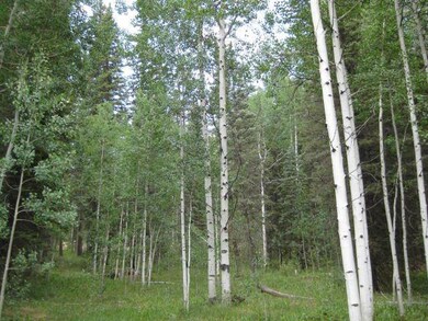 Healthy Forest