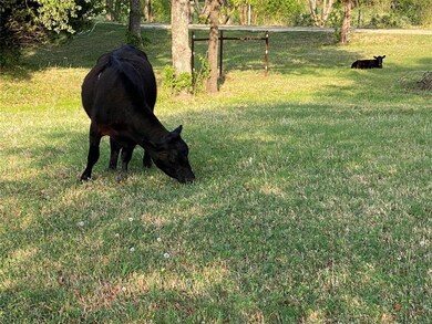 1002 County Road 4699, Boyd, TX 76023 - photo 6