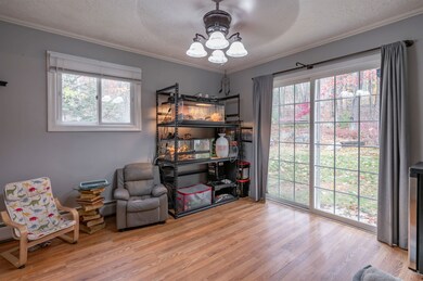 137 Elm St, Goffstown, NH 03045 - photo 6