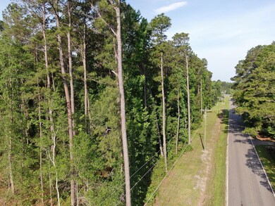 0 Roscoe Rd, Socastee, SC 29588 - photo 6