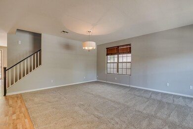 elmwood-05