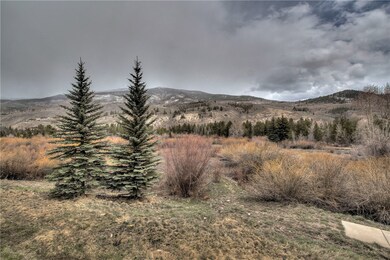 Private back yard.
