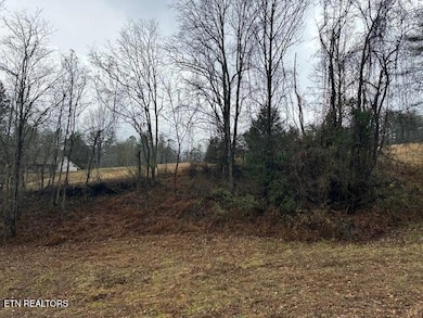 680 Bug Branch Rd, Del Rio, TN 37727 - photo 3