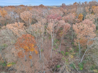 44 Mombert Dr, Manchester, MO 63021 - photo 2