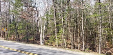 M21 L34A N Bridgton Rd, Bridgton, ME 04009 - photo 3