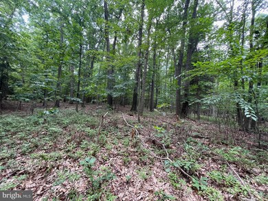 0 White Church Rd, Shippensburg, PA 17257 - photo 6