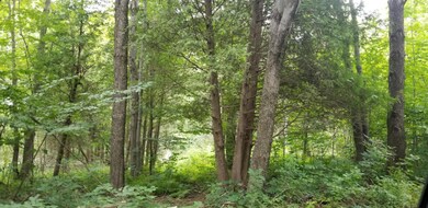 20190814_154254