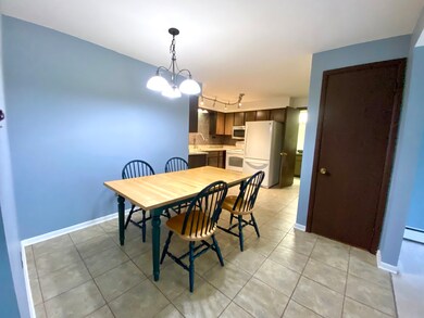 1220 S Lorraine Rd unit 3E, Wheaton, IL 60189 - photo 4