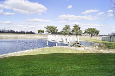 pond-2