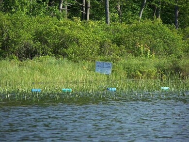 00 E S Quaker St, Henniker, NH 03242 - photo 4