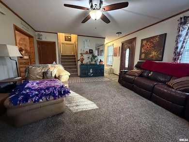 313 W Spruce St unit 1, Chatham, IL 62629 - photo 3