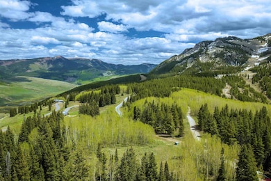 E36 Prospect Dr, Mt. Crested Butte, CO 81225 - photo 5