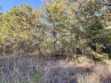 134 Thrush Rd, Mabank, TX 75156 - photo 2