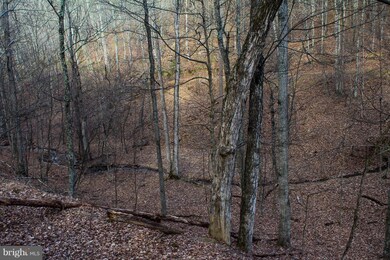 15 Ridges at Branch S, Romney, WV 26757 - photo 3