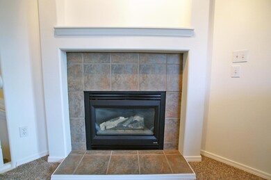 Gas Fireplace
