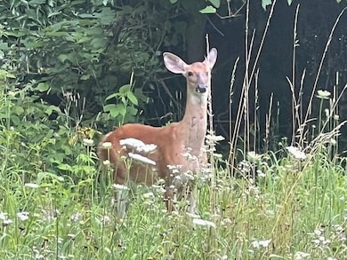 0000 Oak Ridge Hills unit 7, Marshall Township, MI 49068 - photo 2