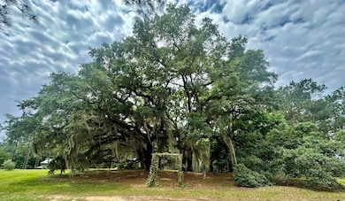 9283 Tallokas Rd, Pavo, GA 31778 - photo 4