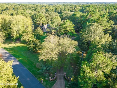 12965 Whispering Pines Dr, Olive Branch, MS 38654 - photo 2