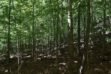 0 Sam Baughman Rd unit LotWP001 24575594, Stanford, KY 40484 - photo 7