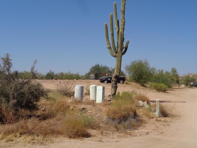 Large Saguaro at entry