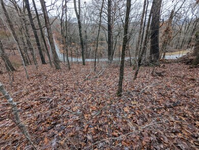 000 Gregg Rd, Reeds Spring, MO 65737 - photo 5