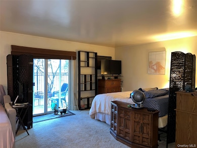 16 Scenic Dr unit S, Croton Hudson, NY 10520 - photo 6