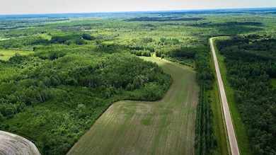 2965 Bankton Rd SW, Baudette, MN 56623 - photo 4