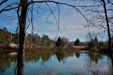 238 Myrick View Ln, Dorset, VT 05251 - photo 2