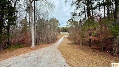 7384 N Highway 55, Jamestown, KY 42629 - photo 6