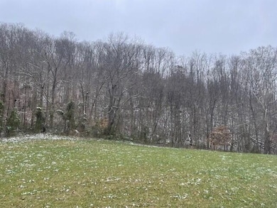 6800 Lower Licking Rd, Lakeview Heights, KY 40351 - photo 7