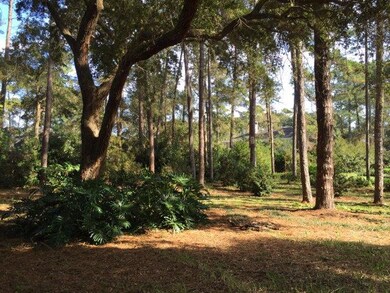 326 Carnoustie, St. Simons Island, GA 31522 - photo 5